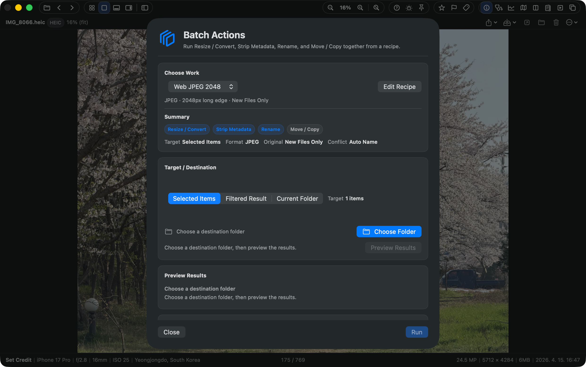 SnapView batch action preview and handoff workflow